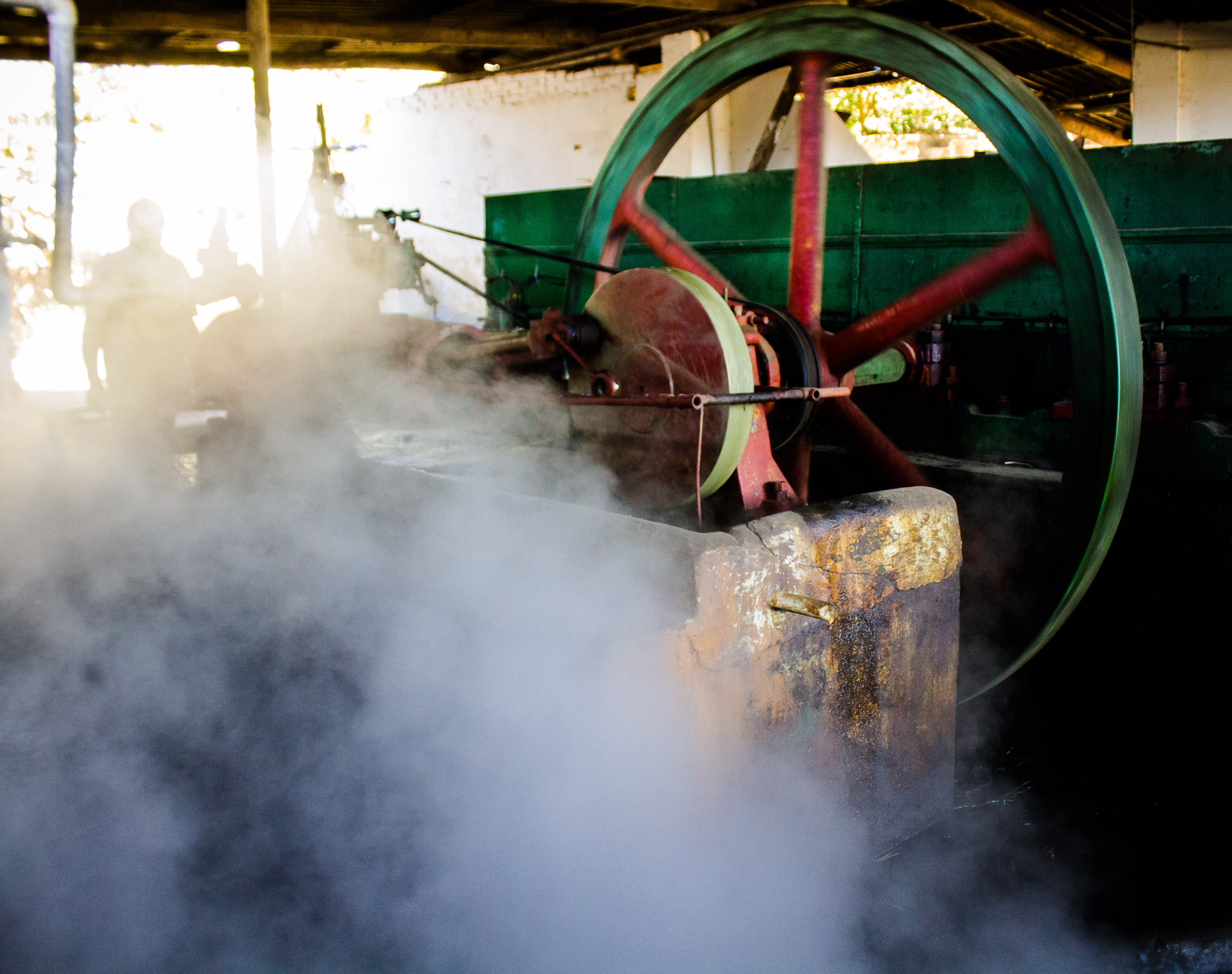 Engenho a vapor - Fazenda Benedetti